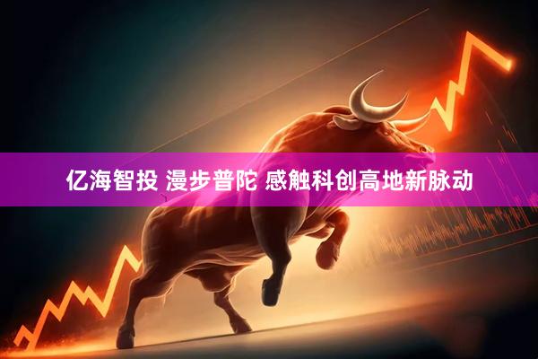 亿海智投 漫步普陀 感触科创高地新脉动