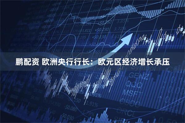 鹏配资 欧洲央行行长：欧元区经济增长承压