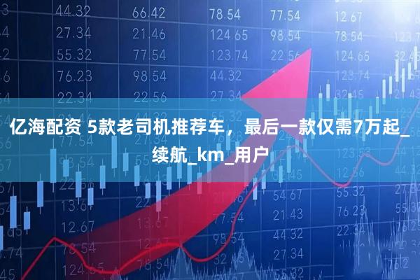 亿海配资 5款老司机推荐车，最后一款仅需7万起_续航_km_用户