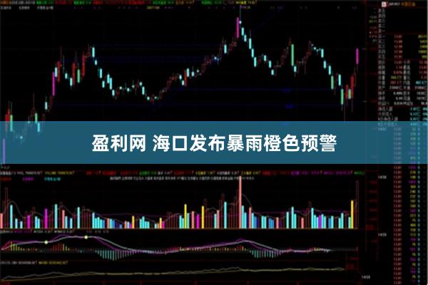 盈利网 海口发布暴雨橙色预警